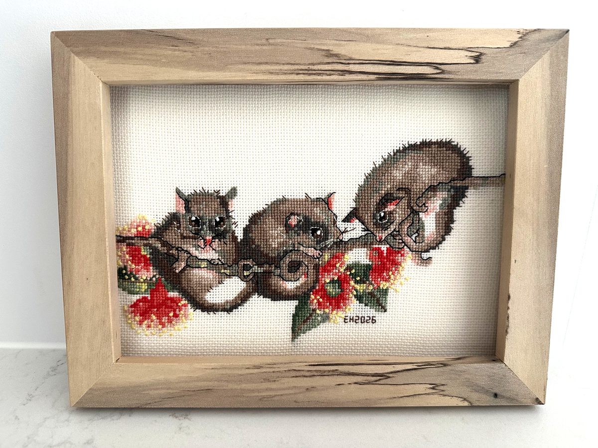 Sugar glider cross-stitch in spalted marri frame